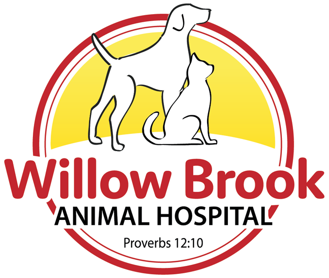 Willow Brook Animal Hospital
