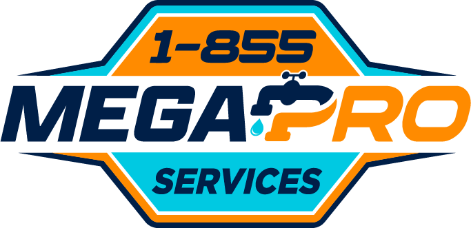 MegaPro services